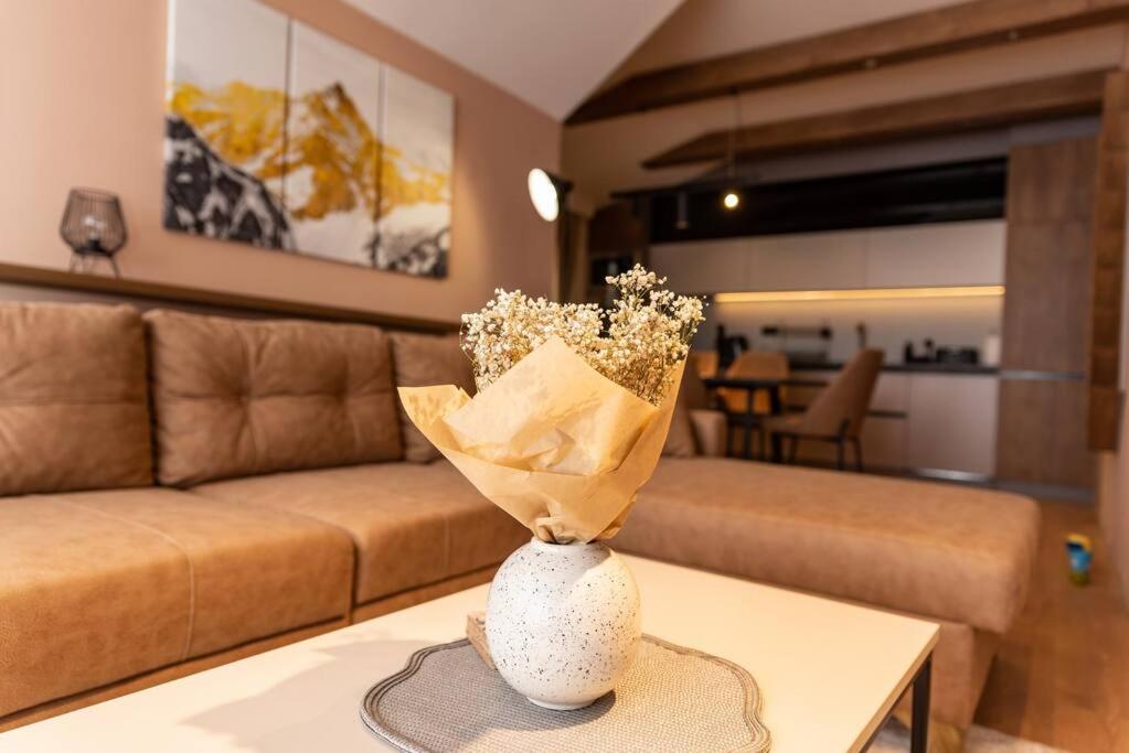 Selzo Lux Villa Pale